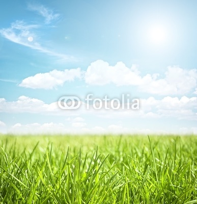 sky and grass